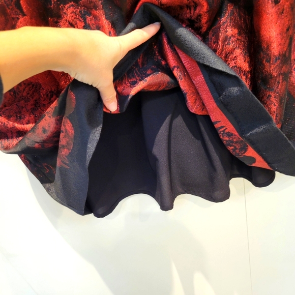 Cynthia Steffe Black and Red  Dress - Picture 9 of 11